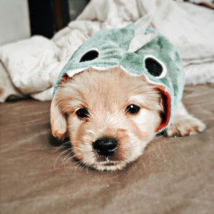 Meet your Posher, Flor